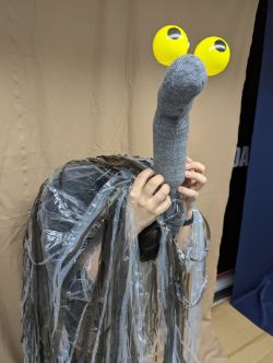 ダチョウ